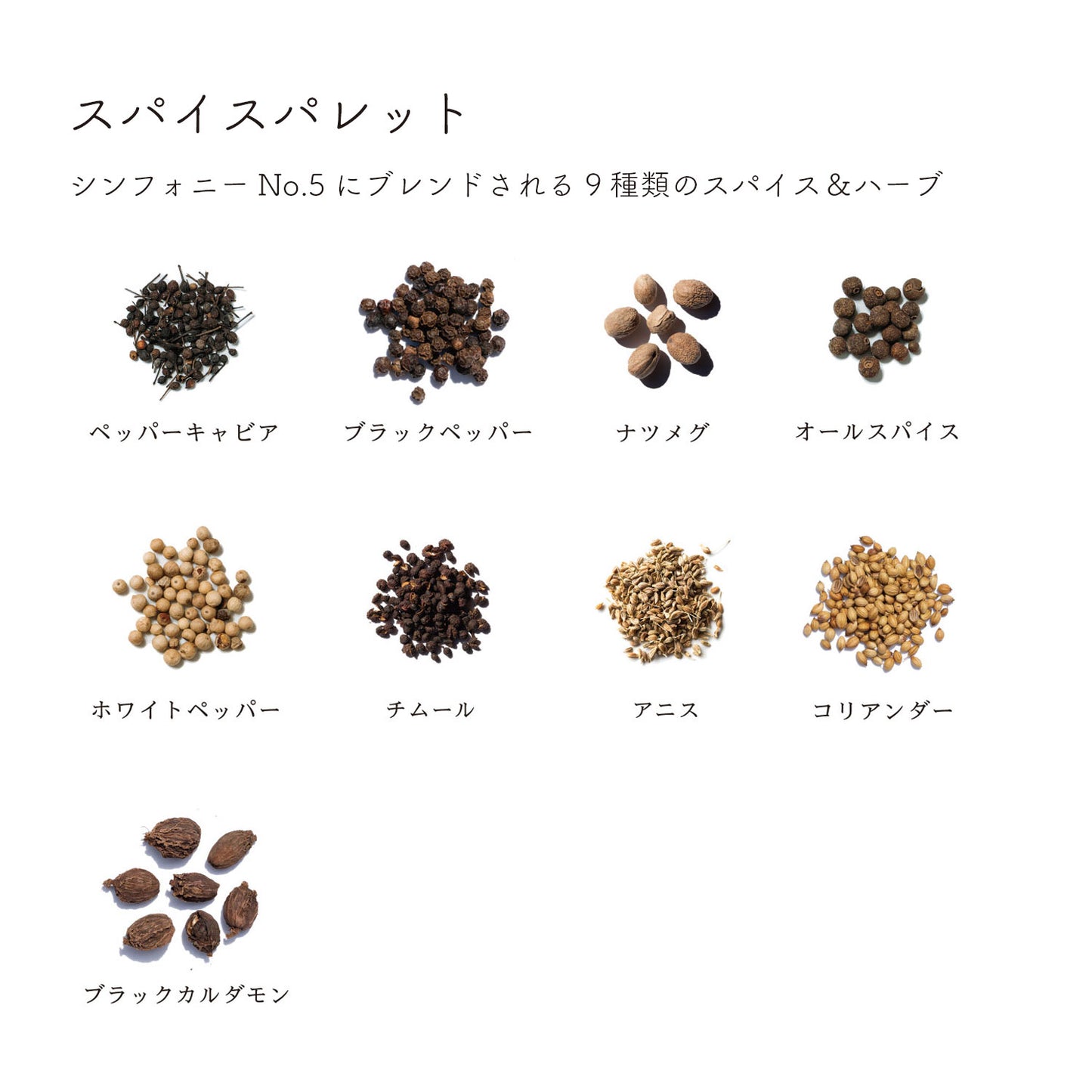 ディッシュ シンフォニーNo. 5（容器無しタイプ）