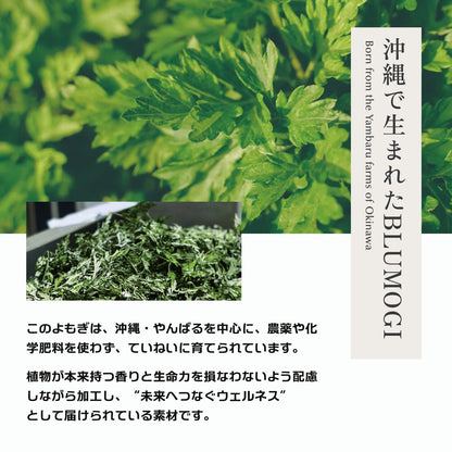 Yomogi CHAInstant「ヨモギチャイ インスタント」